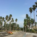 부국개발주식회사 여미지식물원 이미지