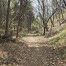 여주-0706 이미지