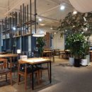 올리앤 마곡점 이미지