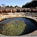 덕양농원 이미지