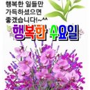 9월 11일 수요일 간추린 뉴스와 날씨 이미지