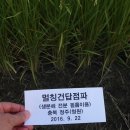 장양농장 이미지