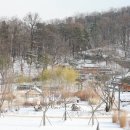 수원-2000 이미지