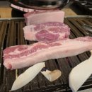 (주)코끼리투어 이미지