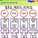기가솔건강방 이미지