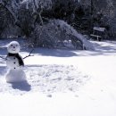 분당수내한의원 이미지