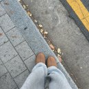 [츄츄일기] 츄츄는 주말에 뭐할까?
