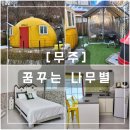 무주펜션 꿈꾸는 나무별 | 덕유산 스키장 실내 개별 바베큐장이 있는 숙소 "무주 펜션 꿈꾸는 나무별" 내돈내산