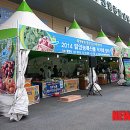 얼음골 종합유통