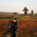 진장목장 이미지