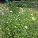 방실농장 이미지