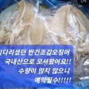 오징어파는언니안산점 이미지