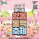 양동