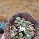 광옥농장 이미지