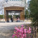 근화여자고등학교 이미지