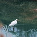 먹이창고 이미지