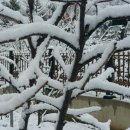 늘청춘건강원 이미지