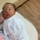 사랑지역아동센터 | 안양 봄빛병원 제왕절개 후기 3~4일차 ｜3일차 남편행정업무처리｜봄빛병원 CS케어｜모유수유교육｜퇴원...