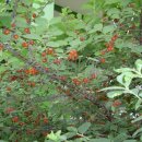 바다위 산아래 이미지