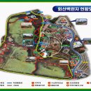 백련세차 이미지
