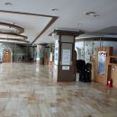 통영파라스파 이미지