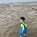 서천 바닷가 갯벌 | [1탄] 서해안 서천 비인해변 갯벌체험 가능한 숙소 ‘엘림펜션&#39;