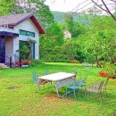 숲속 정원 이미지