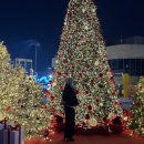 호텔레스테이시흥점 | 시흥 거북섬 호텔 코스타 후기｜오션뷰 호텔, 프리미어 트윈 시티뷰