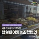 햇살영농조합법인 이미지