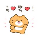 빨강돼지 네이버블로그