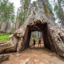 마리포사모텔 | 요세미티 국립공원 - 언테임드 배경, 요세미티에서 발생한 사건, 원주민