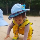 무지개어린이집 이미지