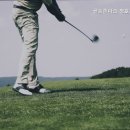 서희스크린골프장 이미지