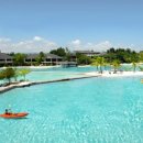 이브올루션 이미지