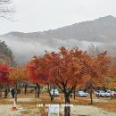 오토드라이브주