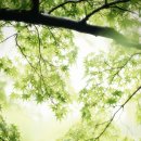 임자공인중개사사무소 이미지