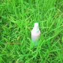 주식회사 소소 | 강아지 진드기 퇴치, 소소온기 올인원 산책 스프레이 솔직후기