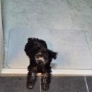 견생미생 이미지