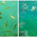 (주)테러스바이오 이미지