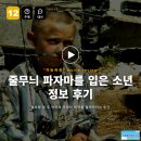 영화와 드라마로 만나는 우리 역사 | 영화 줄무늬 파자마를 입은 소년 정보 후기, 철조망 앞 두 아이의 우정이 비극을 알아차리는 순간