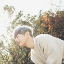 테이 카카오 검색결과