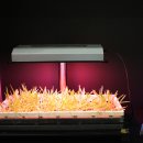 LED조명으로 식물도 키웁니다^^ 이미지