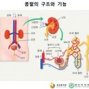 희귀난치성 7대질환진단비보장 특별약관 이미지