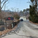 칠보산오리 이미지