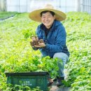 해피레져산업 이미지