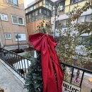 솔트 | 송리단길 애견동반 넓은 느좋 카페 :: 비터솔트 내돈내산 후기