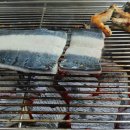 고창 풍천장어 세종