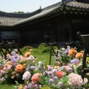 Grand hanok 네이버블로그