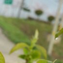 아침농장 이미지