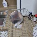 휴캐슬 | 제주 이호휴캐슬 엠보 사각싱크볼 교체 후기